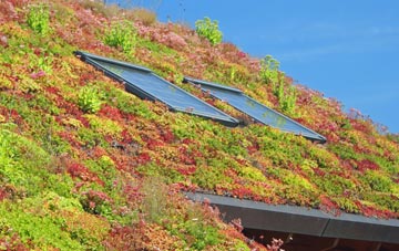 Pednor Bottom living roof systems